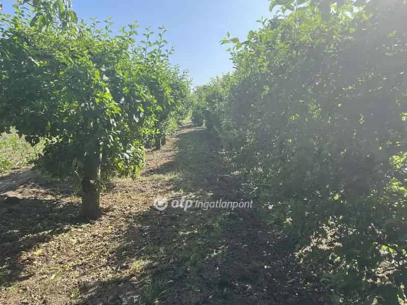 Telek Kiadó , Ceglédi járás, Közép-Magyarország