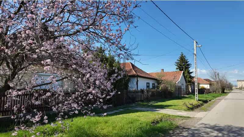 Jászárokszállási családi ház eladó - DHZ066832