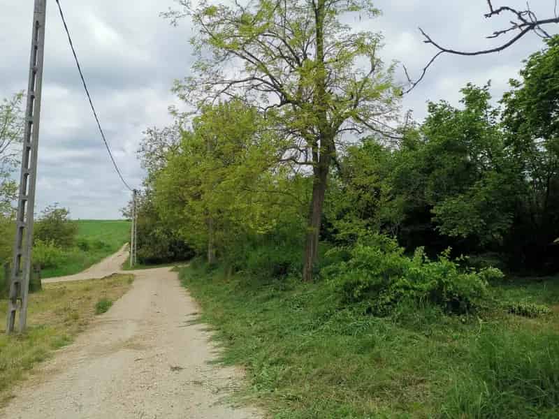 Telek Kiadó , Bicskei járás, Dunántúl