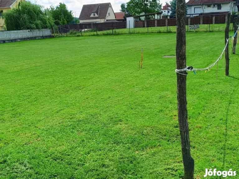 Szigeten építési telek eladó. Pandúrsziget Baja - Baja, Telek, föld - Jófogás Ingatlan