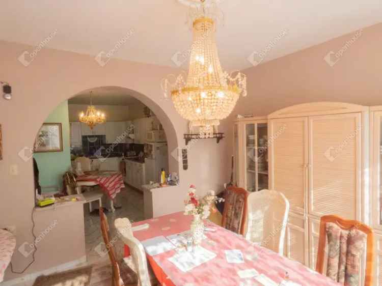 Eladó családi ház Lispeszentadorjánban 3167 m2-es telken