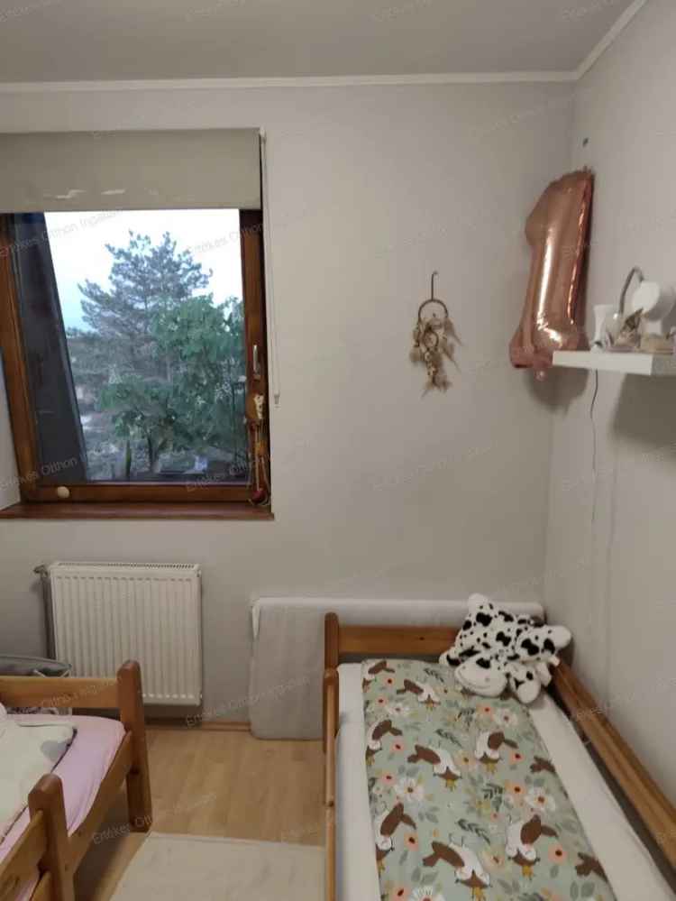 Lakás Kiadó , Nyíregyházi járás, Alföld és Észak