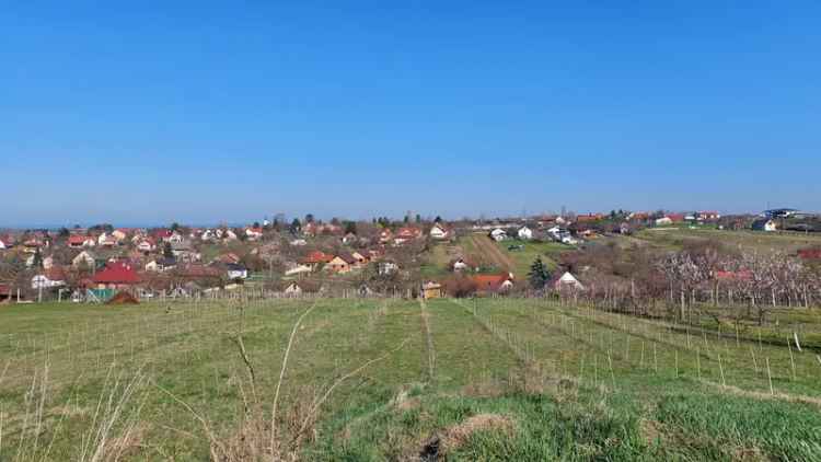 Telek Kiadó , Zamárdi, Dunántúl