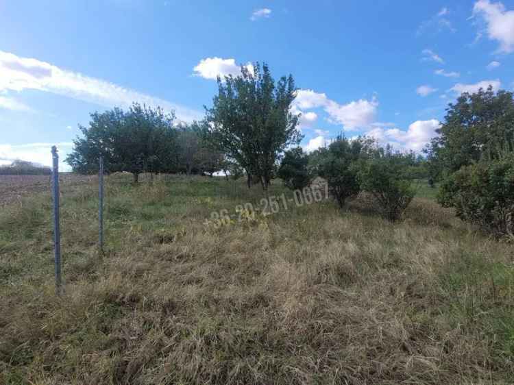 Ház Kiadó , Mohácsi járás, Dunántúl