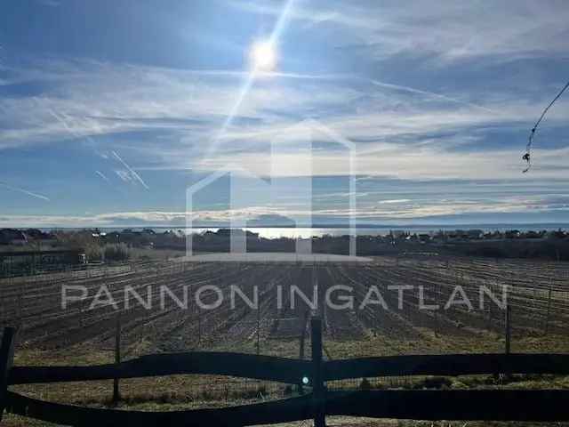 Üzleti célú Kiadó , Balatonfüredi járás, Dunántúl