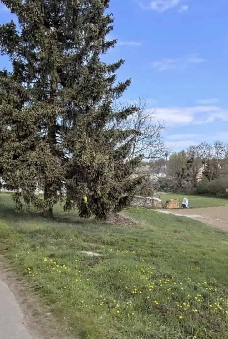 Telek Kiadó , Tabi járás, Dunántúl