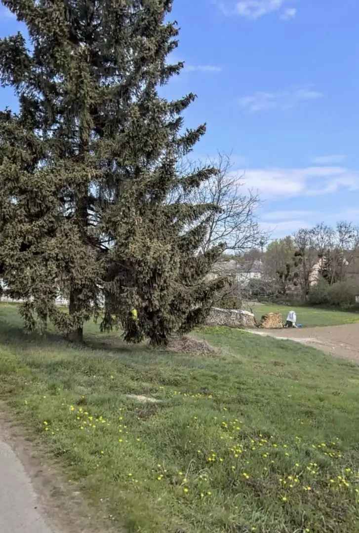 Balatonhoz k	zeli telek elad	