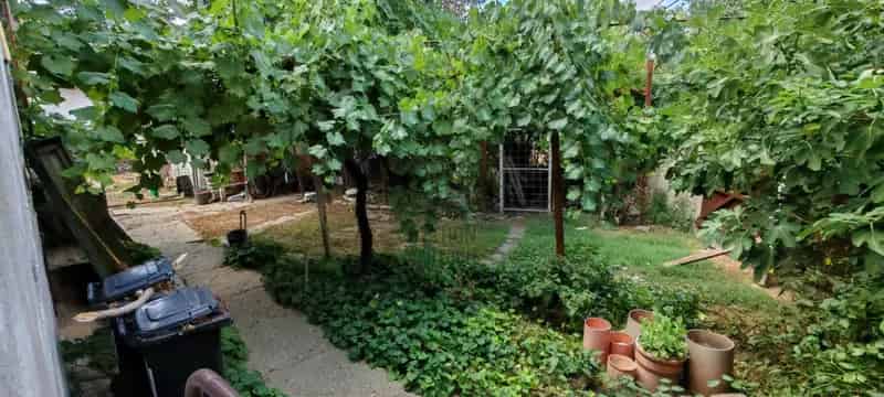 Makói eladó családi ház, H505344