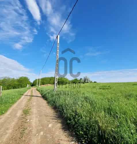 Őrbottyán eladó mezőgazdasági ingatlan 11300 m2