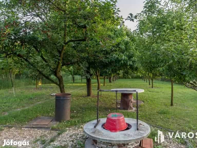 Vízparti nyaraló a természet ölelésében - Gyomaendrőd, Nyaralók, üdülők - Jófogás Ingatlan