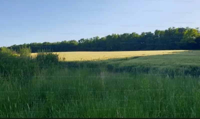 Telek Kiadó , Keszthelyi járás, Dunántúl