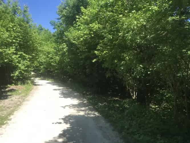 Pilisszentkereszti eladó telek, T031502