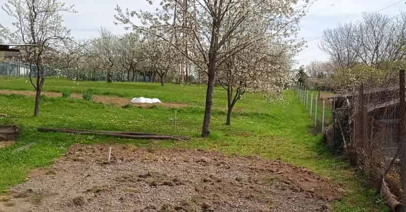 Telek Kiadó , Pécs, Dunántúl