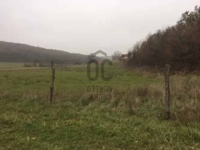 Monoszlói eladó mezőgazdasagi ingatlan, M0001773