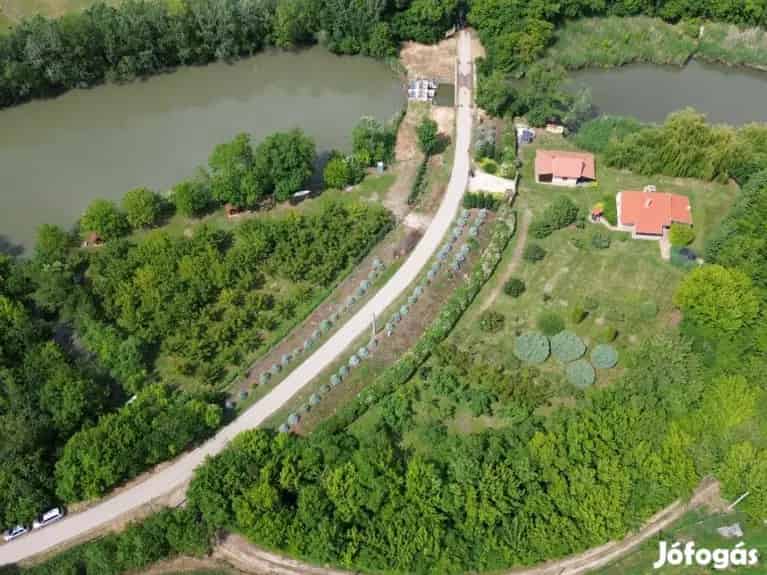Kurca parti telek eladó 50m vízparttal Szentesen