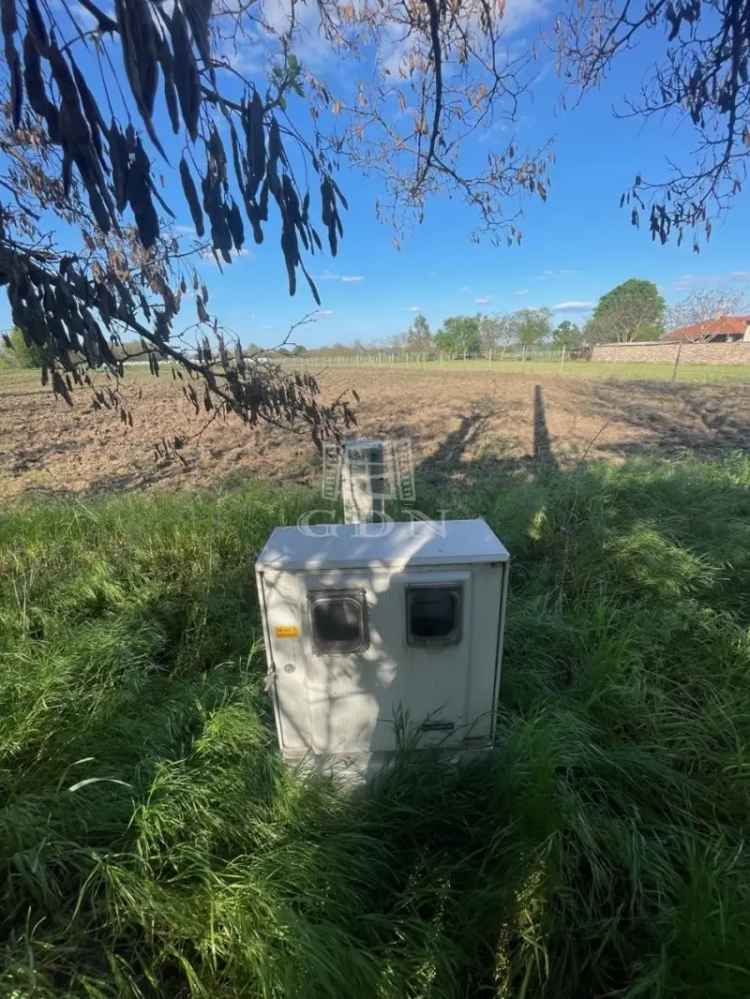 Telek Kiadó , Mórahalmi járás, Alföld és Észak