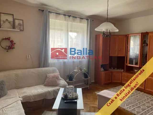 Beloiannisz családi ház eladó - 5 szoba, 913 nm telek, Falusi CSOK