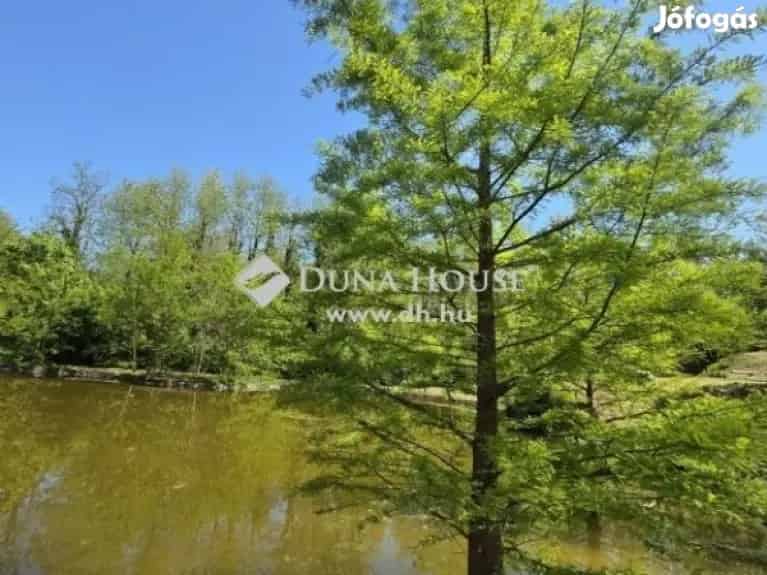 Vízvári eladó ház 210 nm 12000 m2 telekkel 3 vendégházzal
