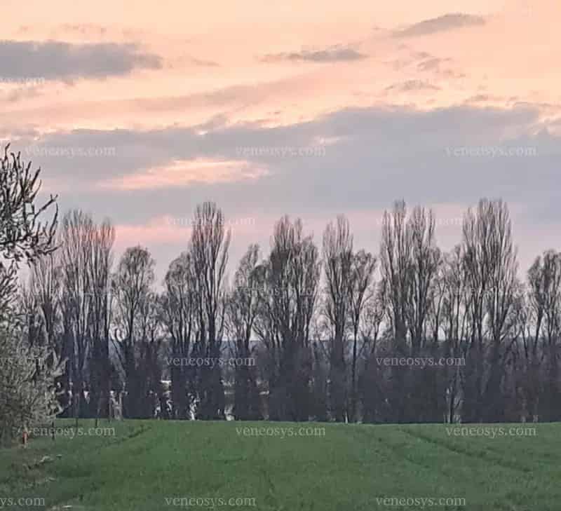 Kis-Balaton, kormoránok, gémek és páratlan nyugalom!