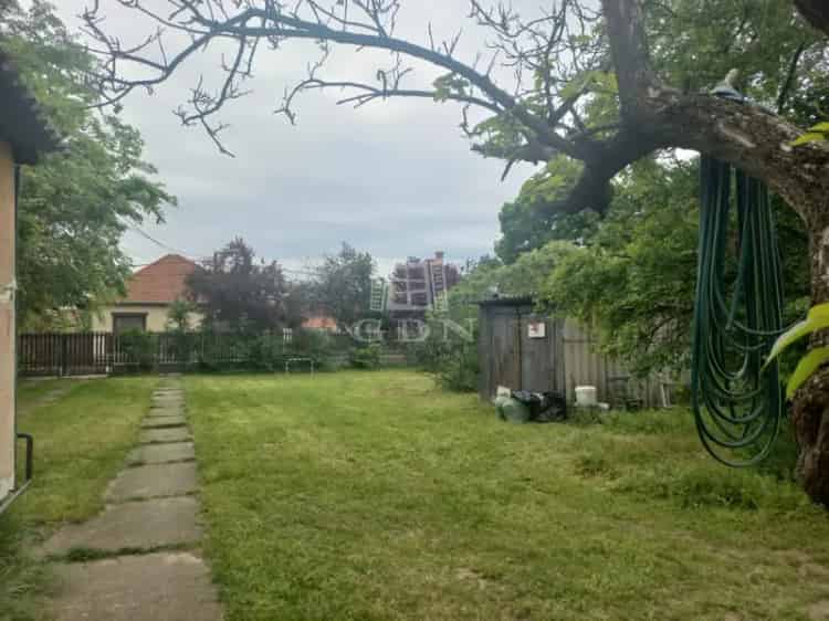 Telek Kiadó , Némedi út, Dunaharaszti, Közép-Magyarország