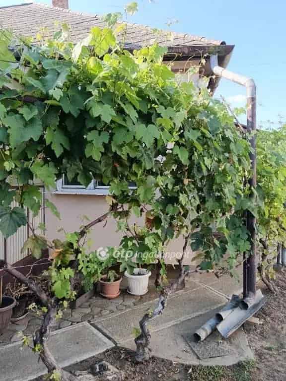 Ház Kiadó , Nagykállói járás, Alföld és Észak