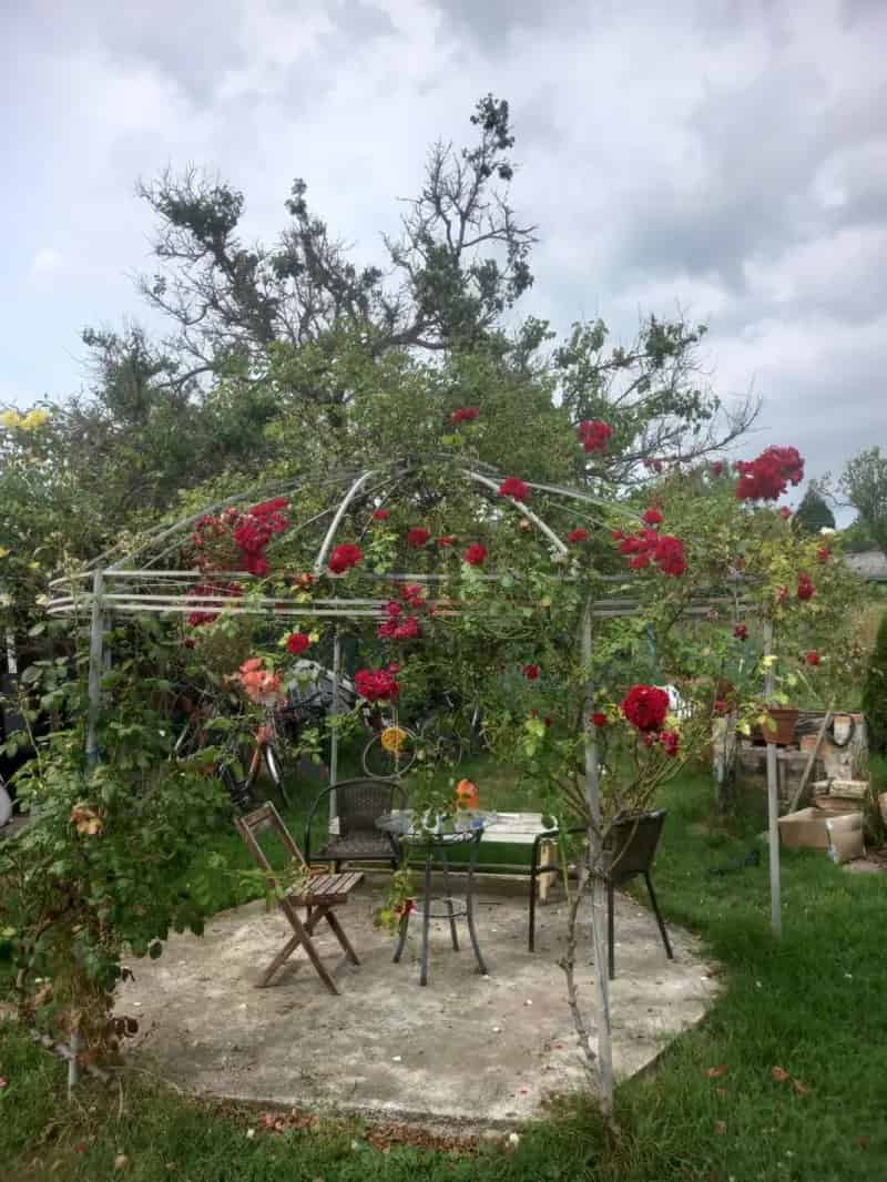 Ház Kiadó , Balatonalmádi járás, Dunántúl