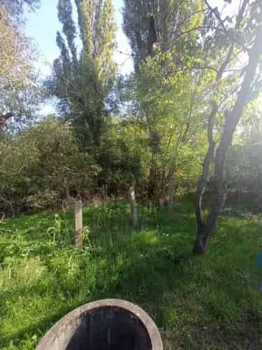 Monori eladó szőlő - 1406 m2 - Strázsahegy