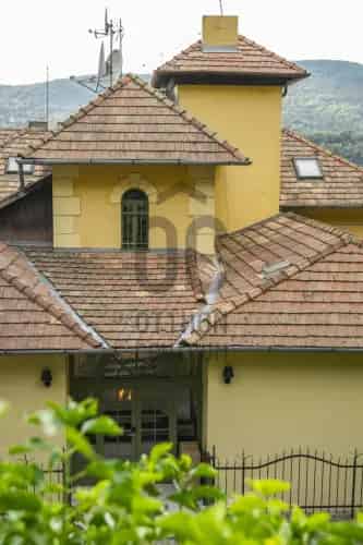 Visegrádi eladó kereskedelmi ingatlan, H460258