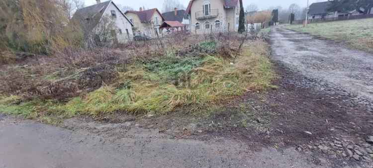 Telek Kiadó , 2, Rákóczi út, Vásárosnamény, Alföld és Észak