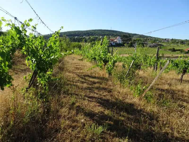 Telek Kiadó , Balatonfüredi járás, Dunántúl