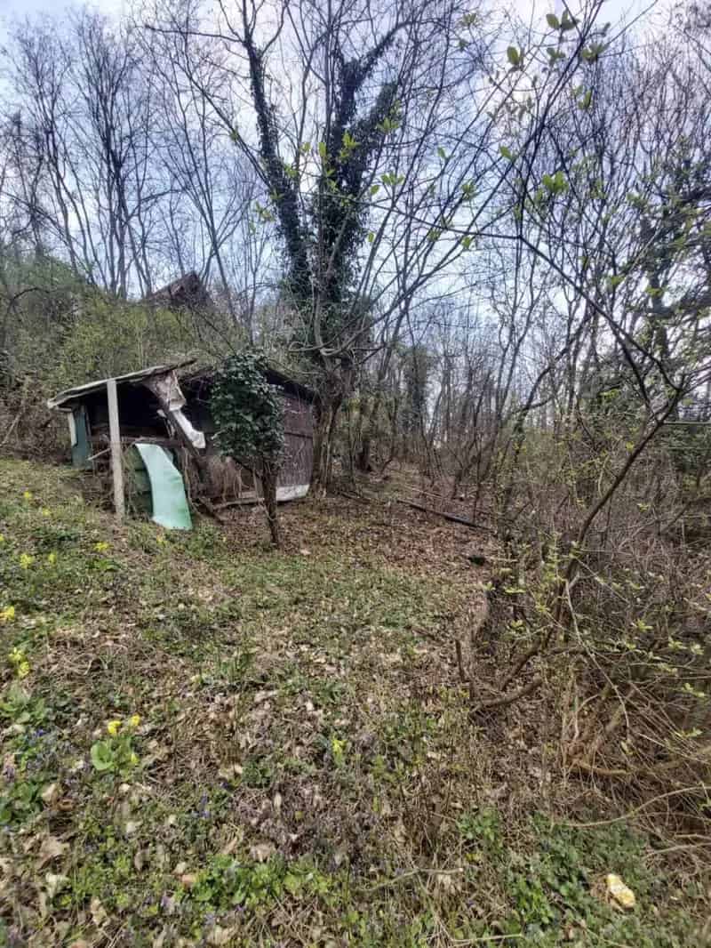 Telek Kiadó , Szentendrei járás, Közép-Magyarország