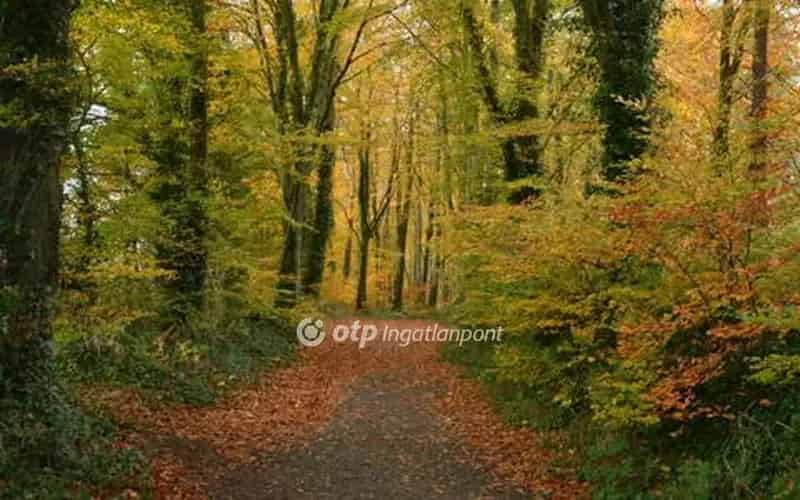 Telek Kiadó , Salgótarjáni járás, Alföld és Észak