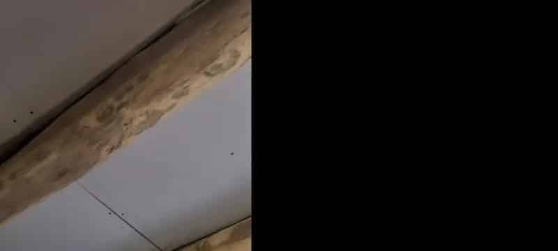 Ház Kiadó , Bicskei járás, Dunántúl