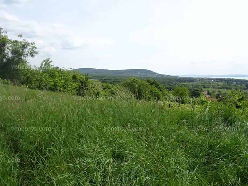 Balatonrendesen erdő eladó!