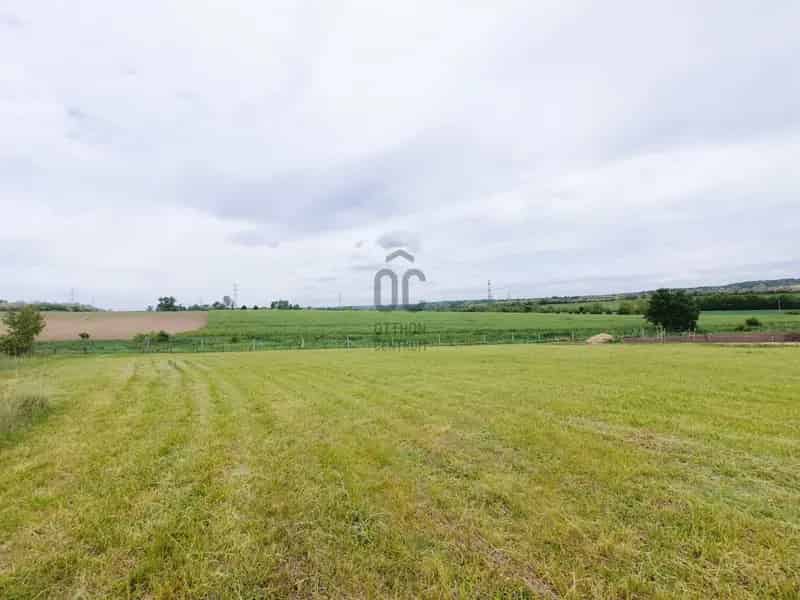 Ház Kiadó , Martonvásári járás, Dunántúl