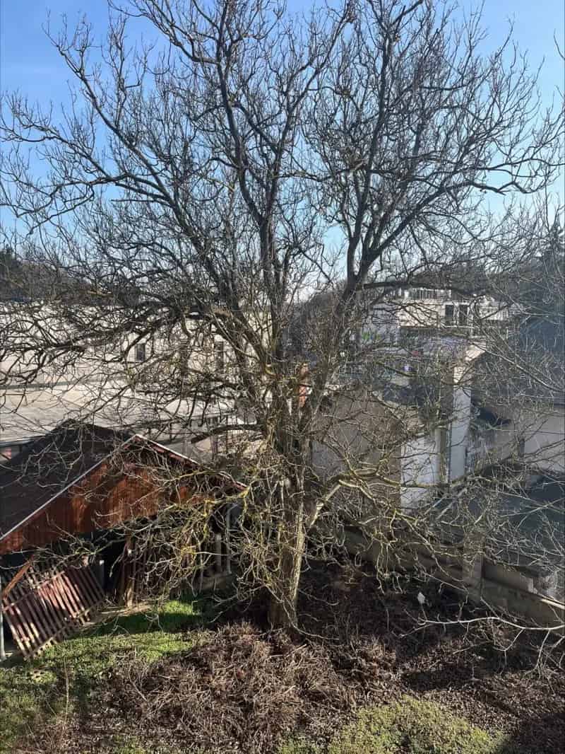 Telek Kiadó , Budapest, Közép-Magyarország