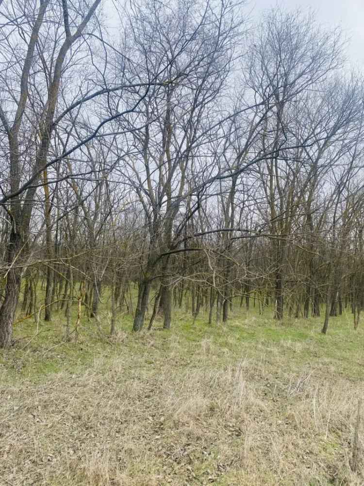 Telek Kiadó , Nagykátai járás, Közép-Magyarország