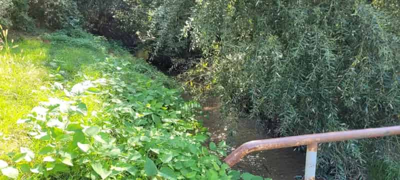 Telek Kiadó , Dunakeszi járás, Közép-Magyarország