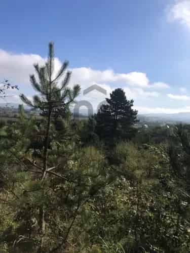 Mogyorósbányai eladó telek, DTK057489