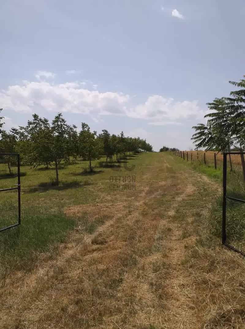 Dióültetvény eladó Paks-Dunakömlődön 49274 nm