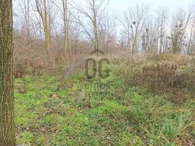 Zalaszentgróti eladó telek, T040150