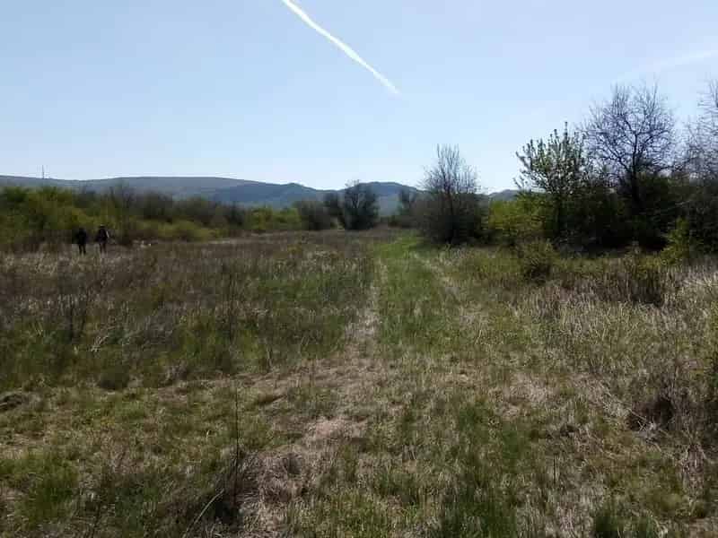 Telek Kiadó , Budakeszi, Közép-Magyarország