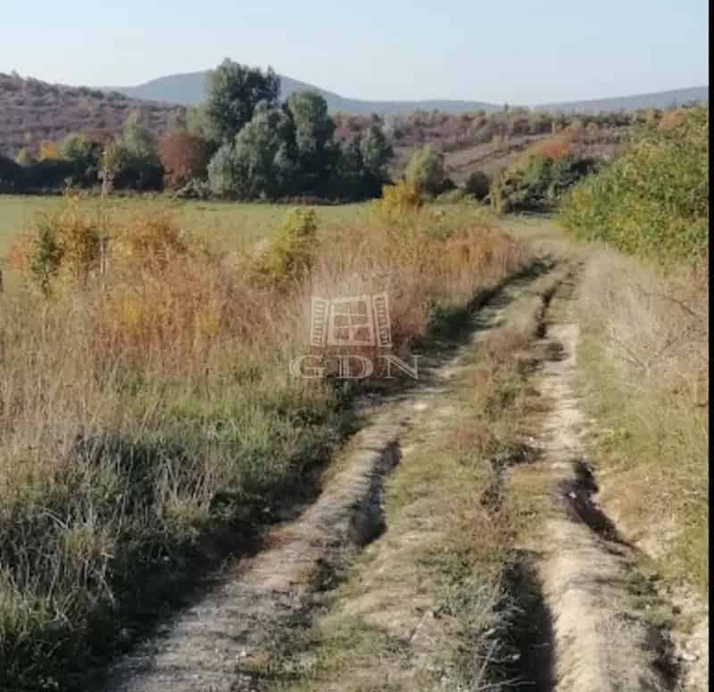 Telek Kiadó , Budapest, Közép-Magyarország