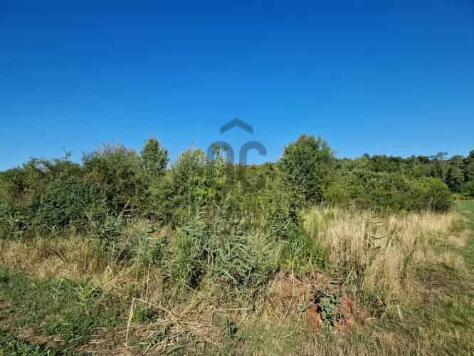 Budakeszii eladó mezőgazdasagi ingatlan, M0002891