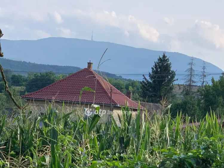 Mátraderecskei 100m2-es családi ház eladó