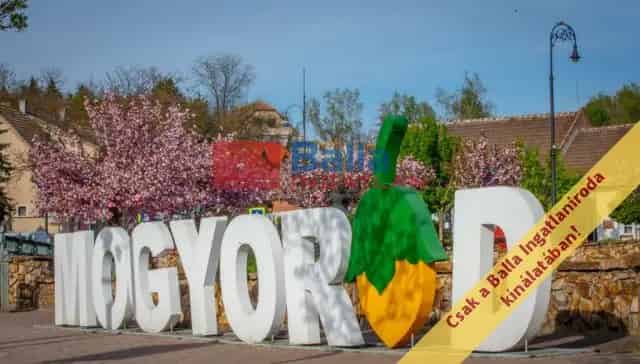 Mogyoród , Pacsirta utca