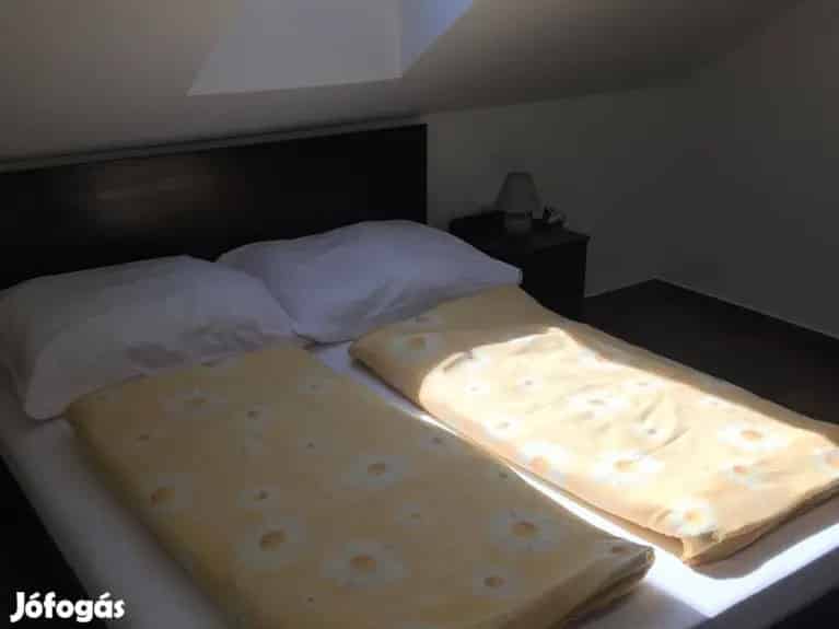 Közvetlen vízparti luxus ingatlan eladó - Békésszentandrás, Nyaralók, üdülők - Jófogás Ingatlan