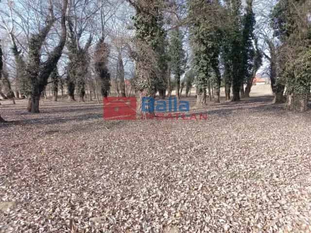 Kerepes , Kerepes 4483 utca