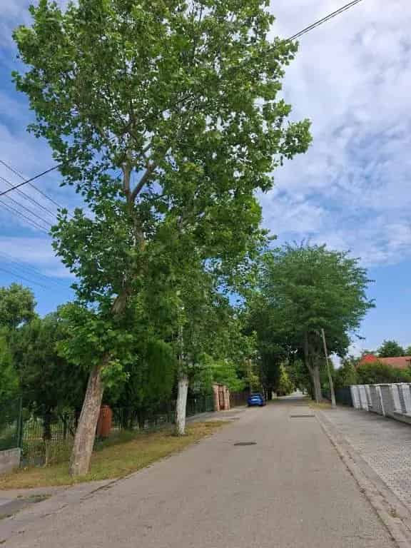 Ház Kiadó , Budapest, Közép-Magyarország