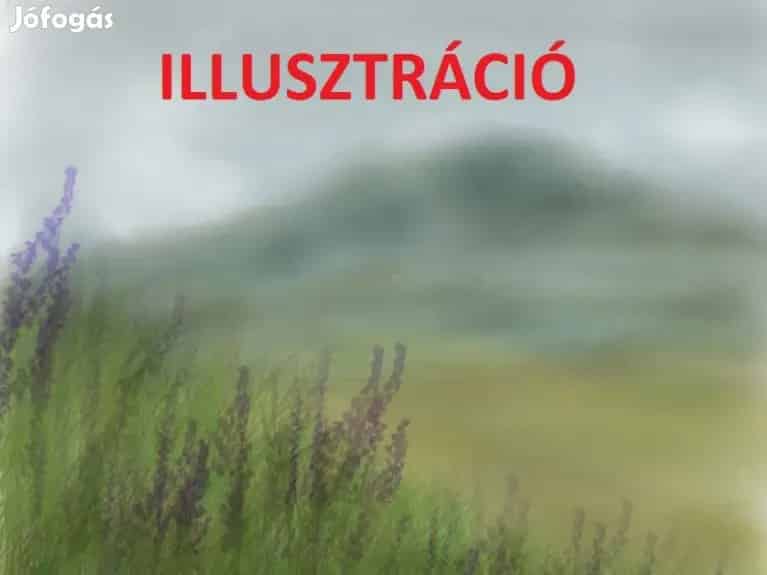 Vállalkozásnak, telephelynek kiválóan alkalmas telek! - Kecskemét, Telek, föld - Jófogás Ingatlan
